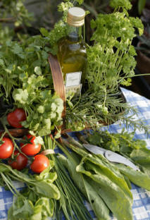 A typical selection of fresh herbs to that can be used in cooking.